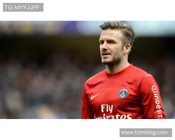 揭秘足球明星小凤的成长历程与辉煌成就背后的故事