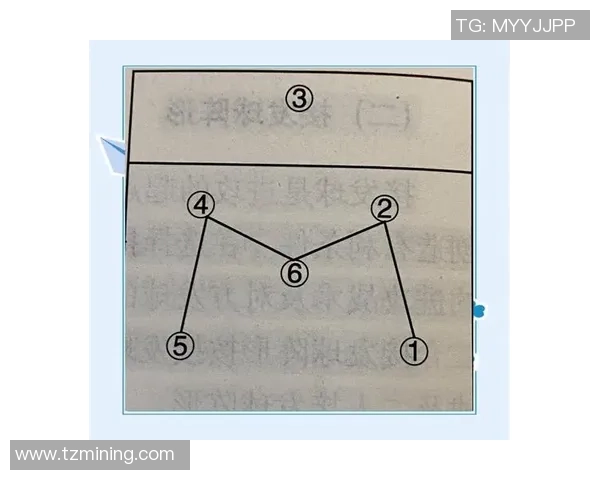 深入分析重庆排球队独特的进攻战术与策略发展